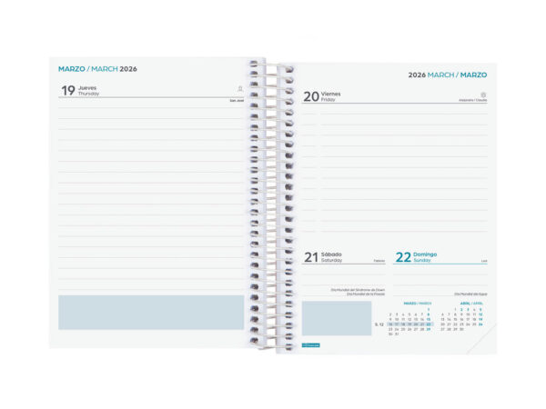 Agenda Escolar Cool Octavo Dp 25-26 Rosa