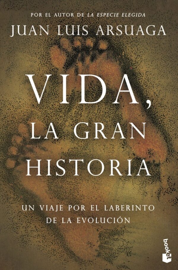 VIDA LA GRAN HISTORIA
