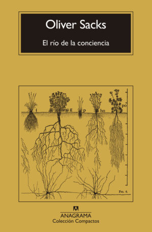 EL RIO DE LA CONCIENCIA