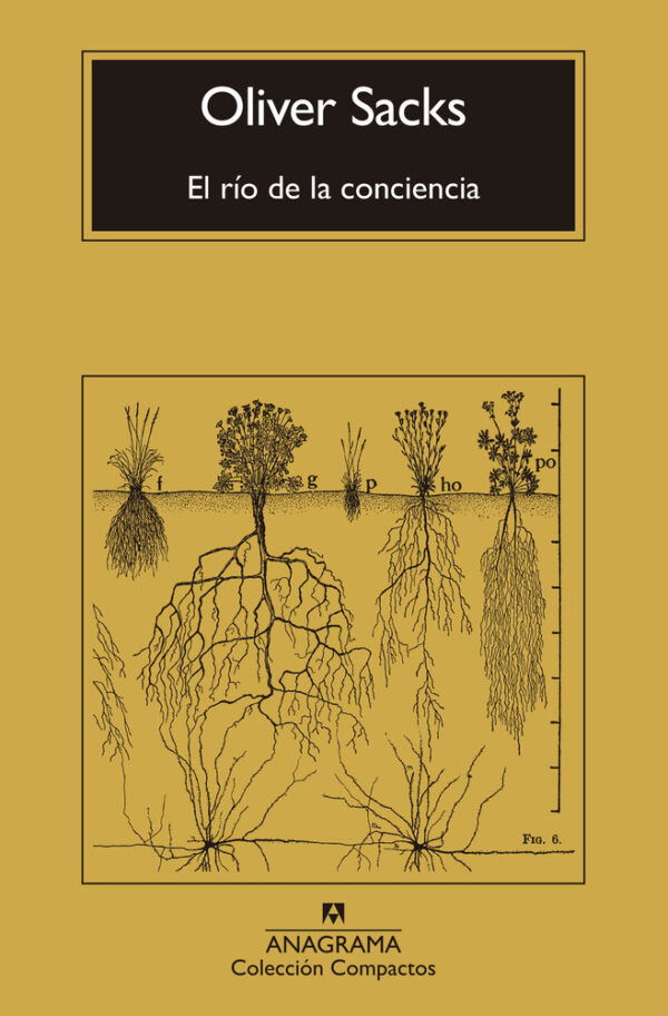 EL RIO DE LA CONCIENCIA