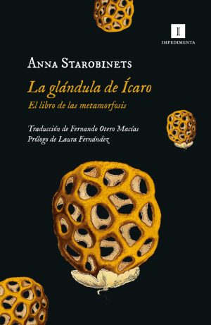 GLANDULA DE ICARO,LA